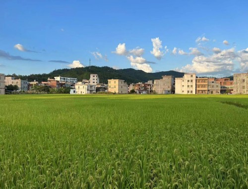 关于大学英语六级阅读模板