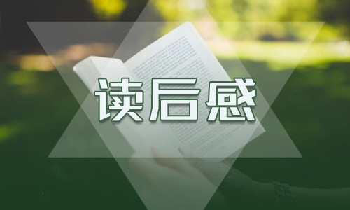 《王子与贫儿》的五年级读后感600字