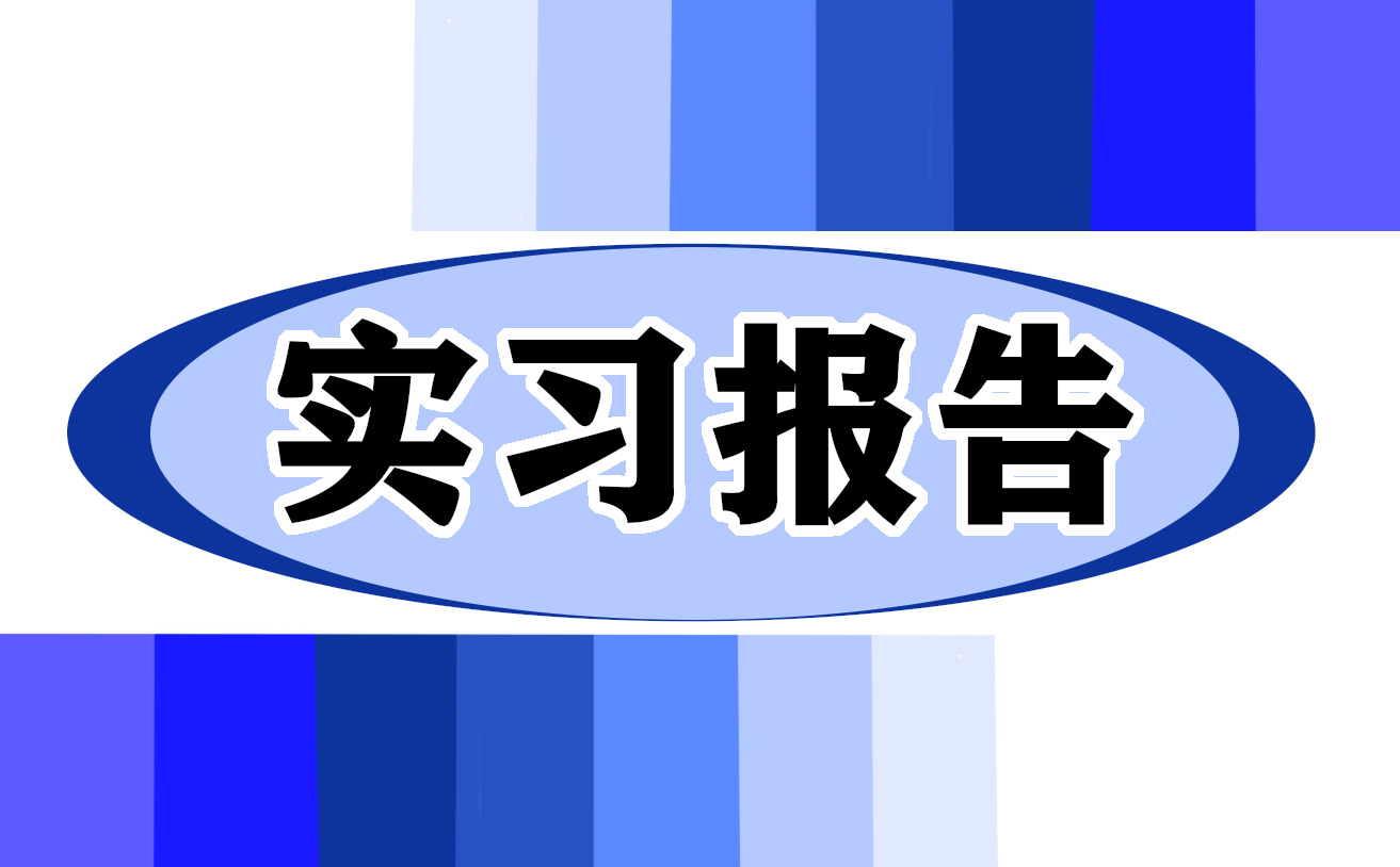 金融专业实习报告模板7篇