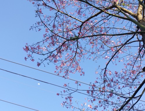 教师节学生写给老师的感谢信6篇模板