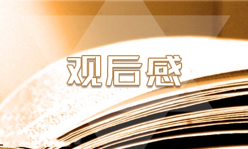 高中安全教育观后感800字5篇