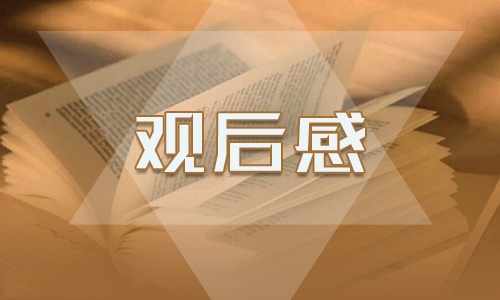 关于文明礼仪观后感作文500字6篇