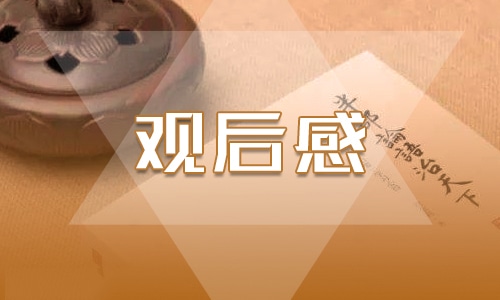 《感动中国》观后感优秀范文300字