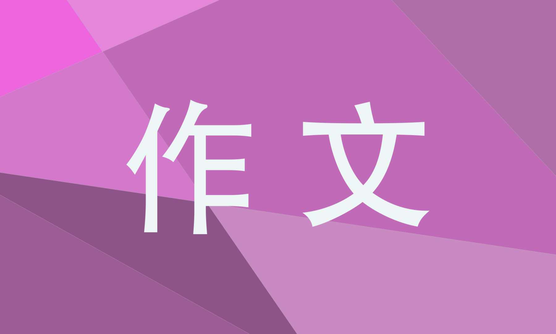 关于志愿者的英语作文高二5篇
